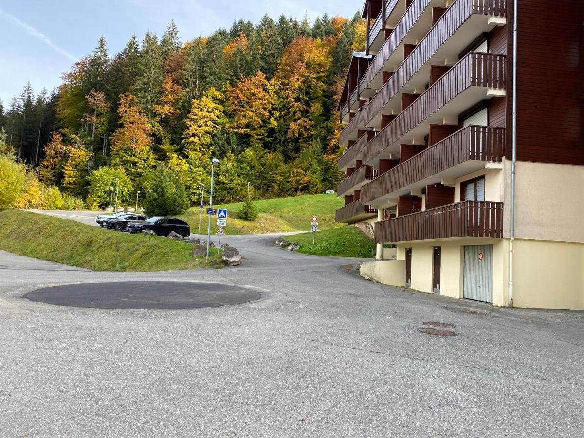 Studio 4 Personnes A 80M Des Pistes De Ski Saint-Jean-dʼAulps Eksteriør bilde